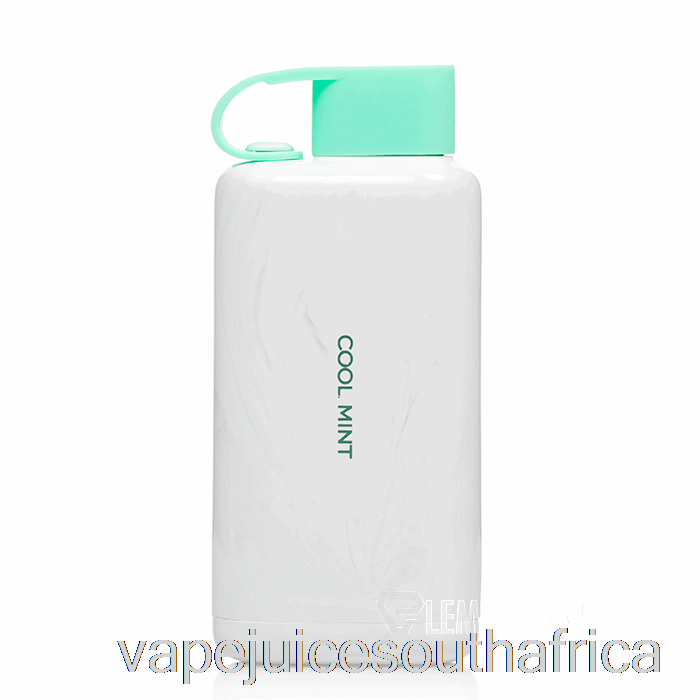 Vape Juice South Africa Vozol Star 9000 Disposable Cool Mint